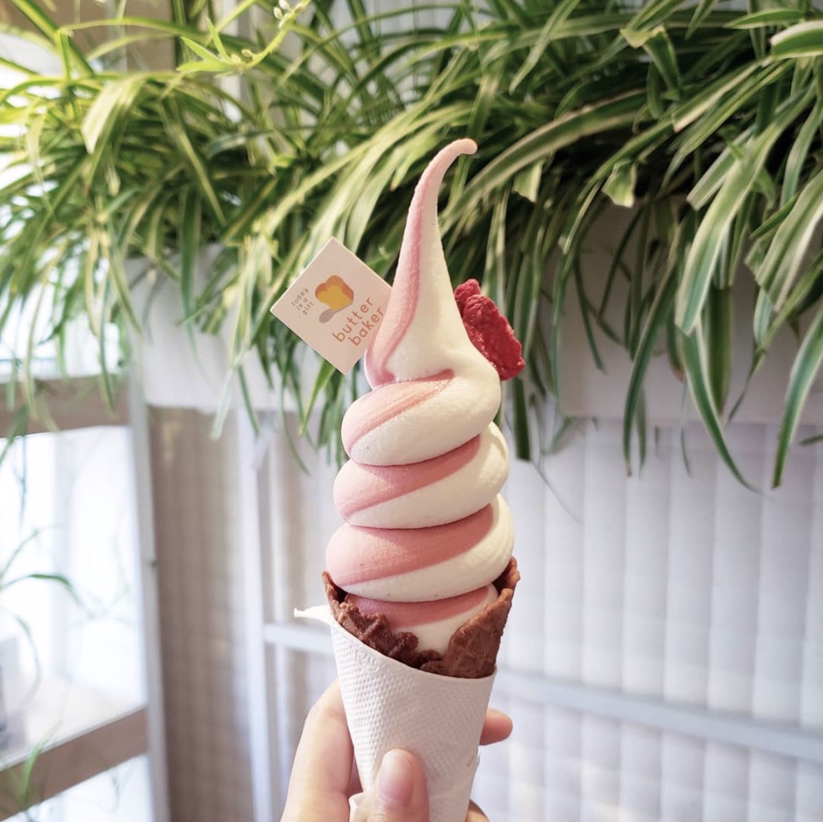 best soft serve ice cream toronto