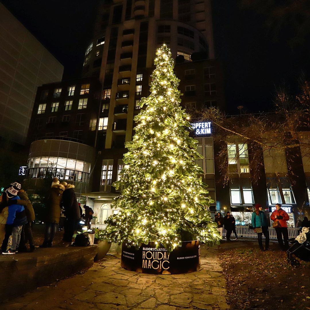 The 6 Most Instagrammable Christmas Trees In Toronto