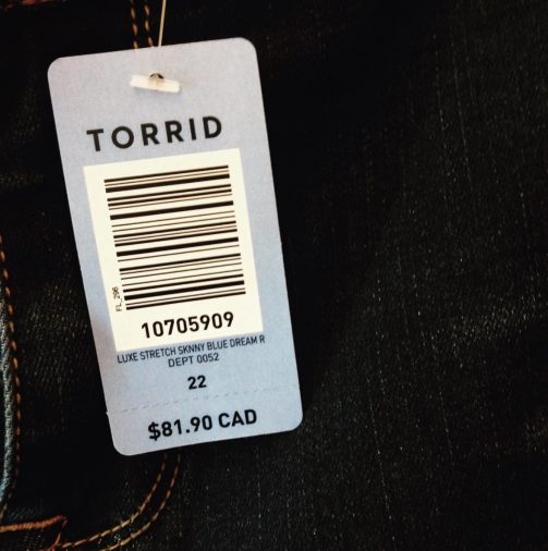 I Shopped At Addition Elle And Torrid, Which Plus-Size Store Is Better?