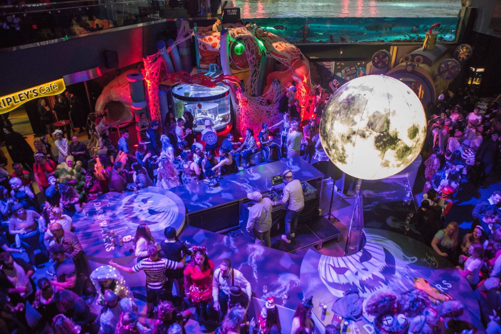 You Can Celebrate Halloween Underwater At Ripley's Aquarium