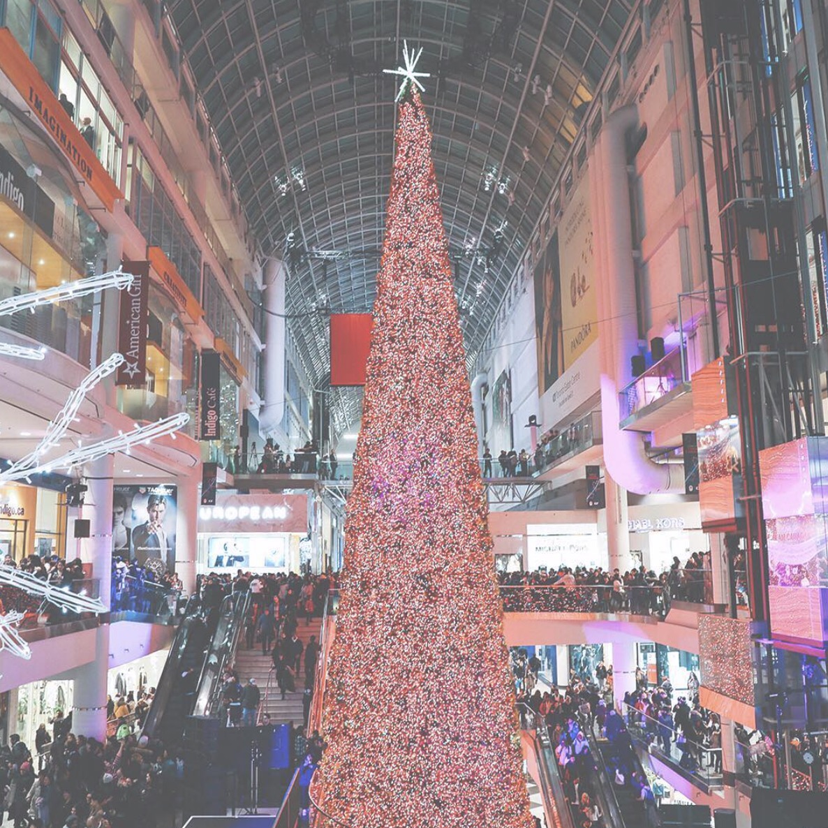 11 Free Events To Check Out This Month In Toronto