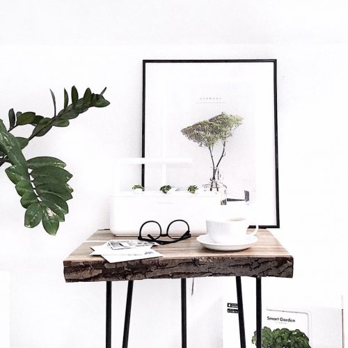 Click And Grow Smart Indoor Garden