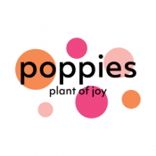 Poppies Plant Of Joy
