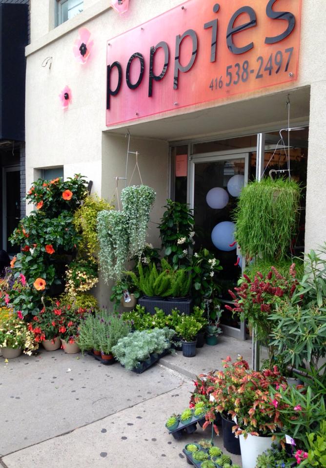 Florist and plant store Poppies Plant of Joy