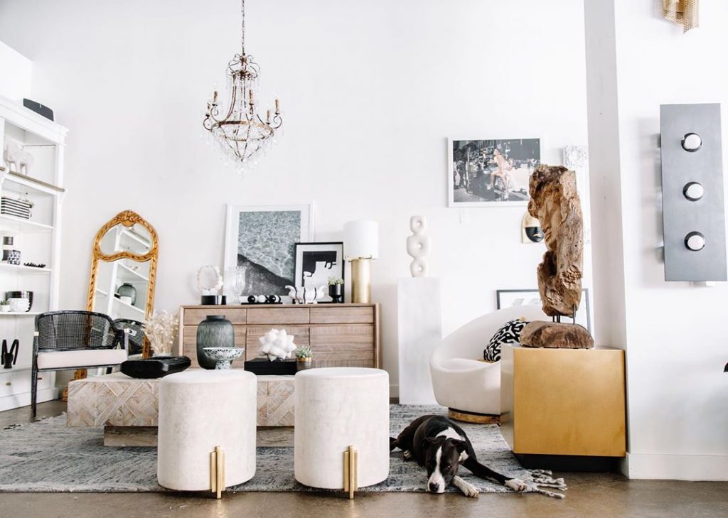 Living room home decor with dog laying on the ground