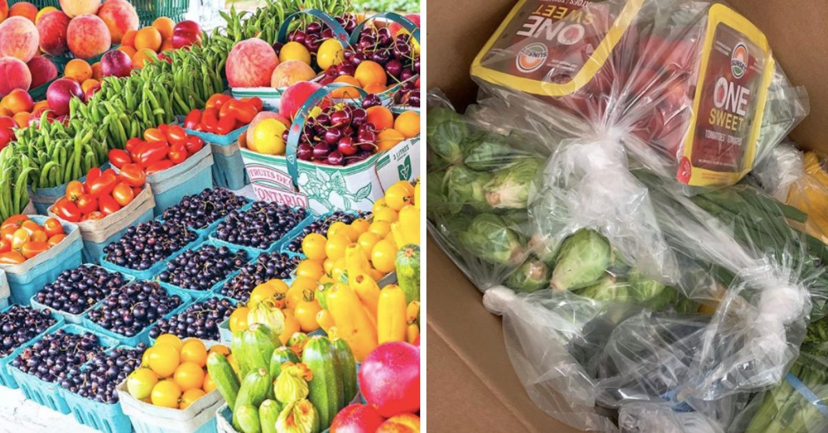 Mister Produce Introduces Grocery Home Delivery In Wake of COVID19