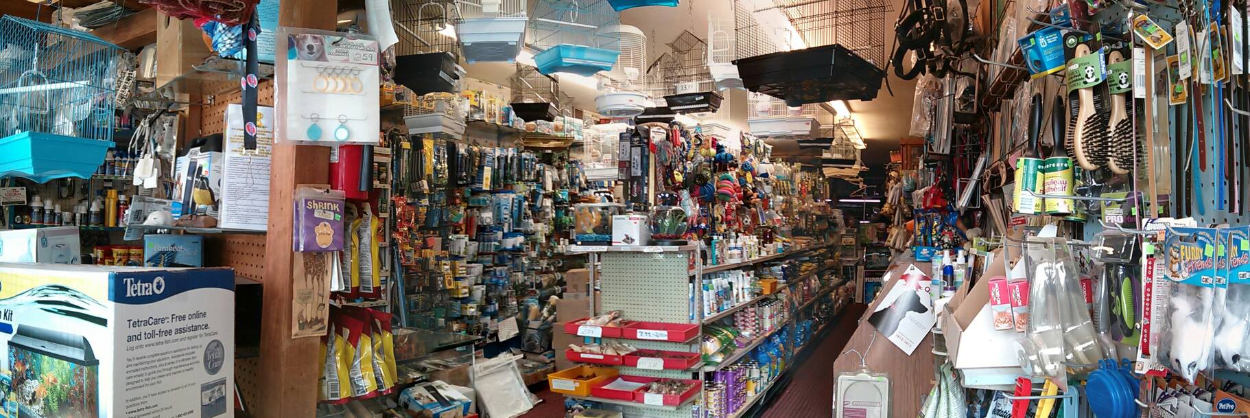 The Best Local Pet Stores In Toronto & The GTA